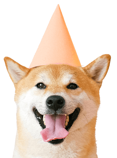 Party Dawg